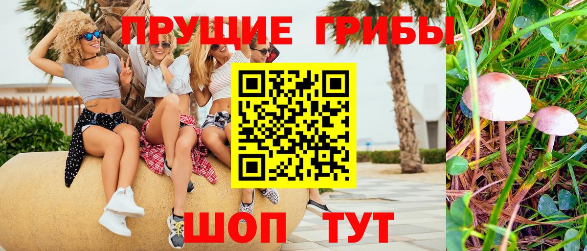 Ефремов  Псилоцибиновые грибы мухоморы  Вход с VPN 