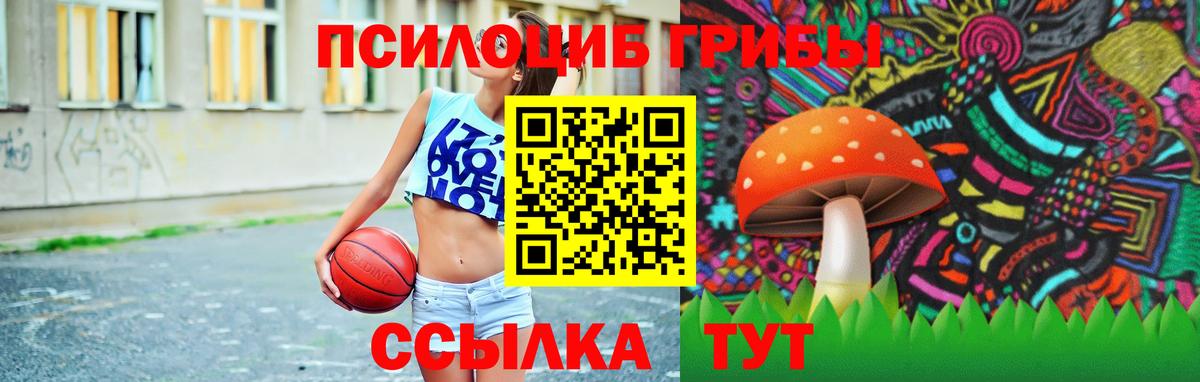 Псилоцибиновые грибы Psilocybine cubensis Ефремов