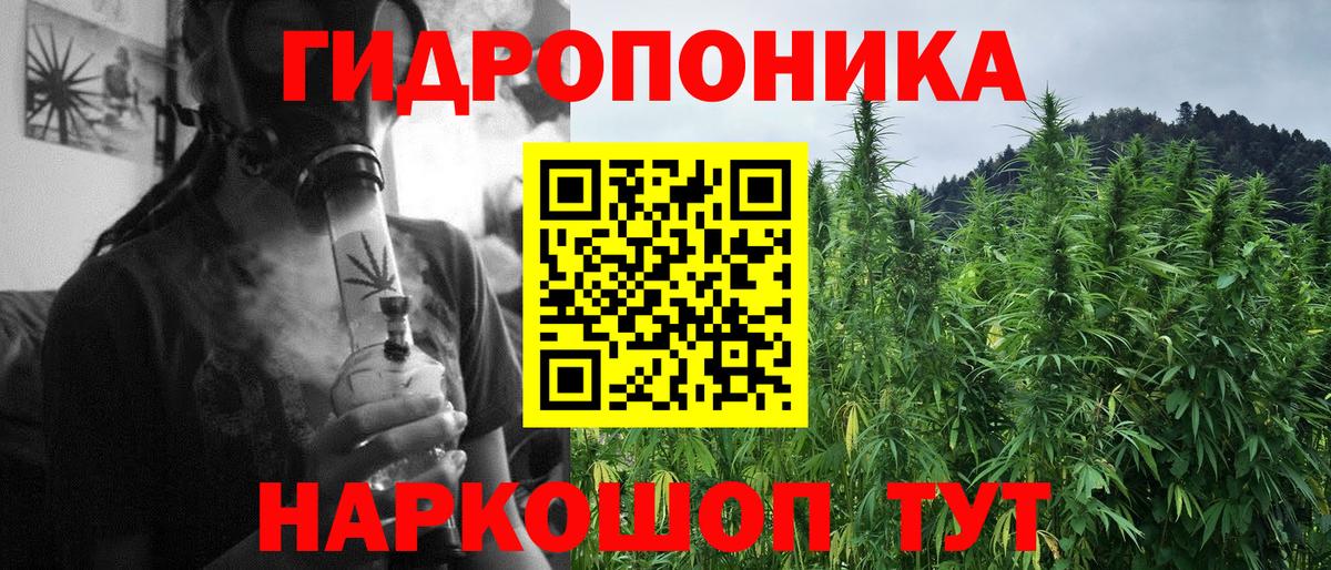 Каннабис планчик Ефремов